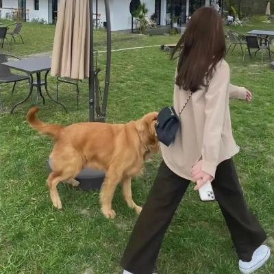 失孩记